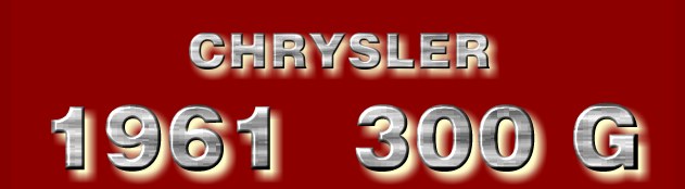 300 g logo