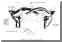 Croquis repr�sentant le principe de la "Ram Induction"